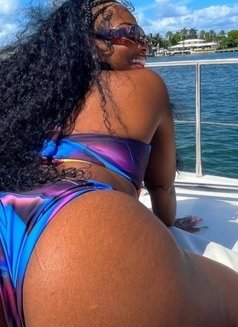 Casi — Dakar