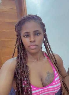 Maribel — Dakar